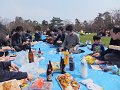DSCF2241