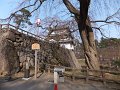 DSCF2258