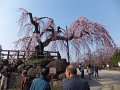 DSCF2259