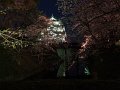 DSCF2273