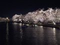 DSCF2309