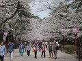 DSCF2341
