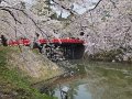 DSCF2342