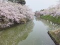 DSCF2344