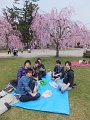 DSCF2347