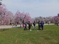 DSCF2348