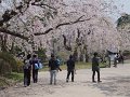 DSCF2356