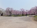 DSCF2358
