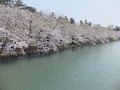 DSCF2367