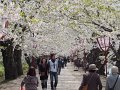 DSCF2369