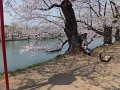 DSCF2370