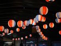 DSCF2505