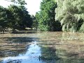 DSCF2795