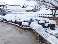 DSCF2938