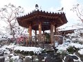 DSCF2944