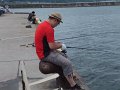 DSCF3453
