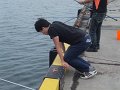 DSCF3454