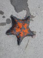 DSCF3460
