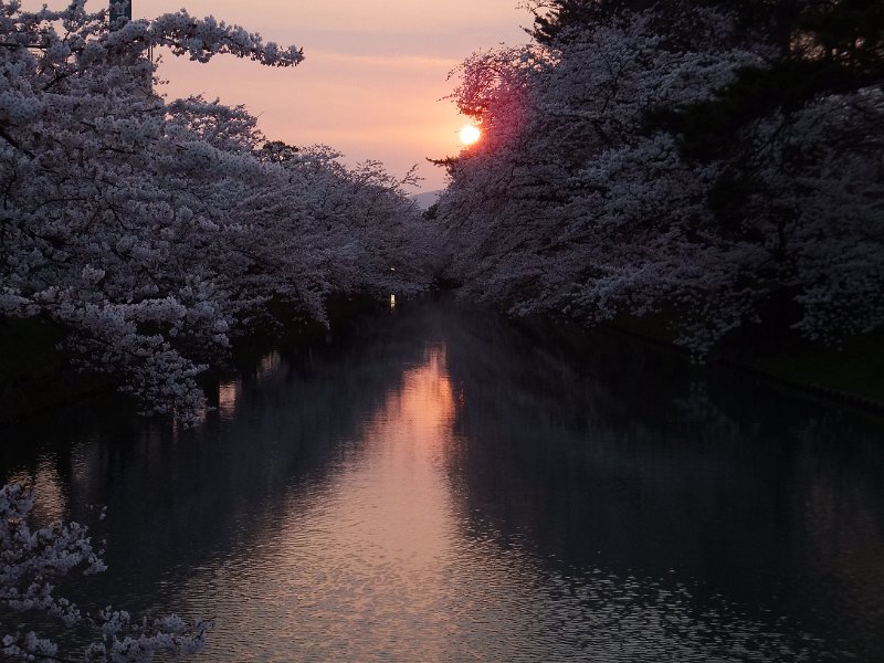 DSCF3275.JPG