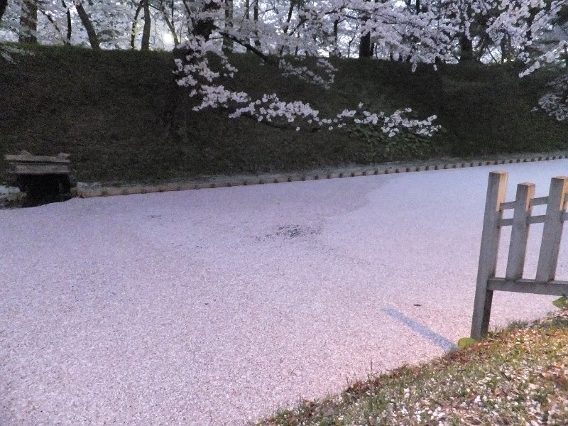 DSCF3307.JPG