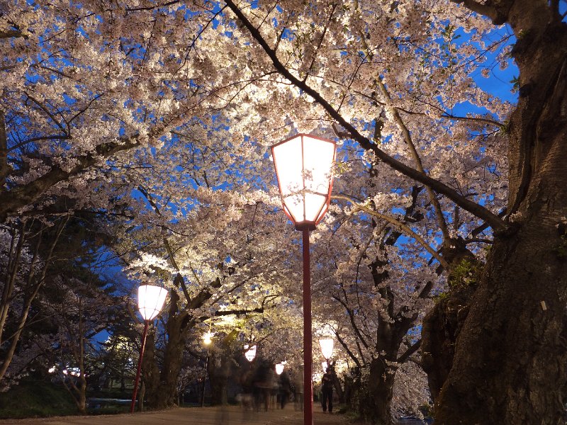 DSCF3308.JPG