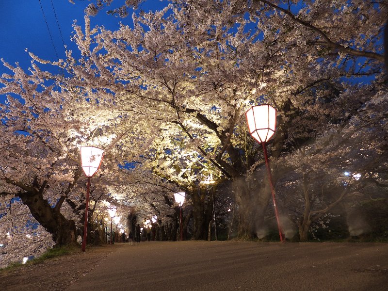 DSCF3309.JPG