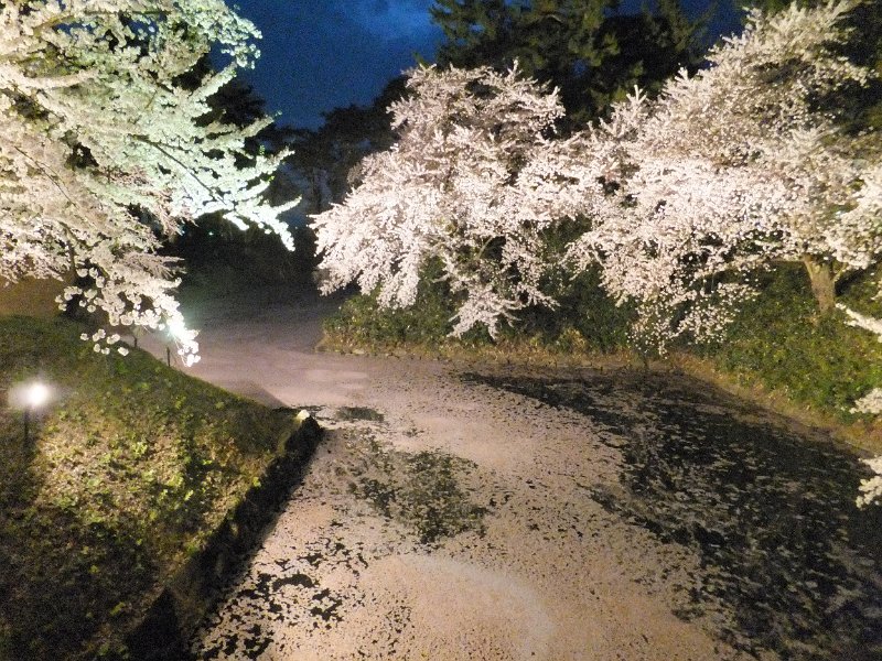 DSCF3312.JPG