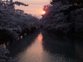 DSCF3275