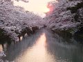 DSCF3277