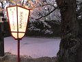 DSCF3306