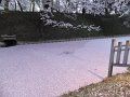 DSCF3307