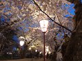 DSCF3308