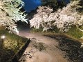 DSCF3312