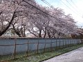 DSCF3325