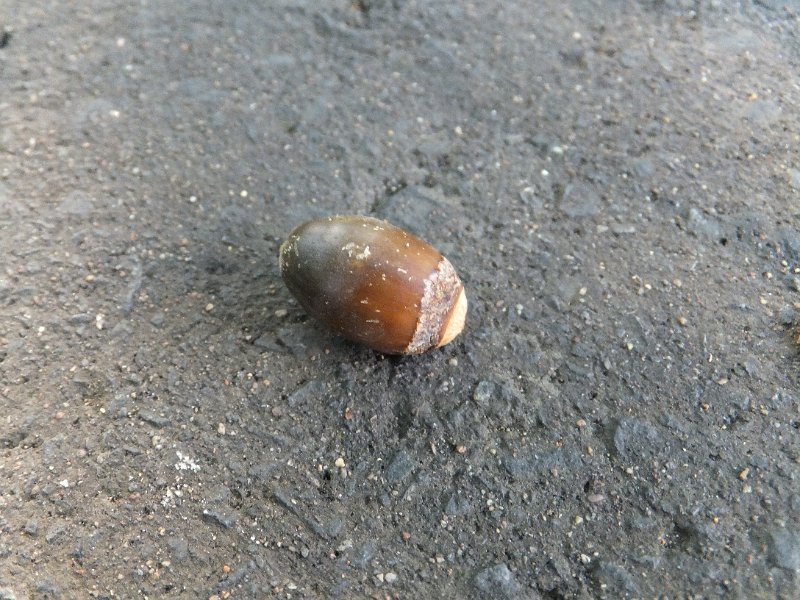 DSCF3668.JPG