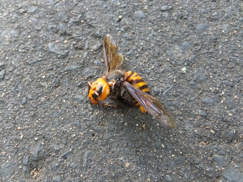 DSCF3669.JPG