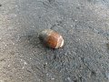 DSCF3668
