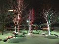 DSCF3939