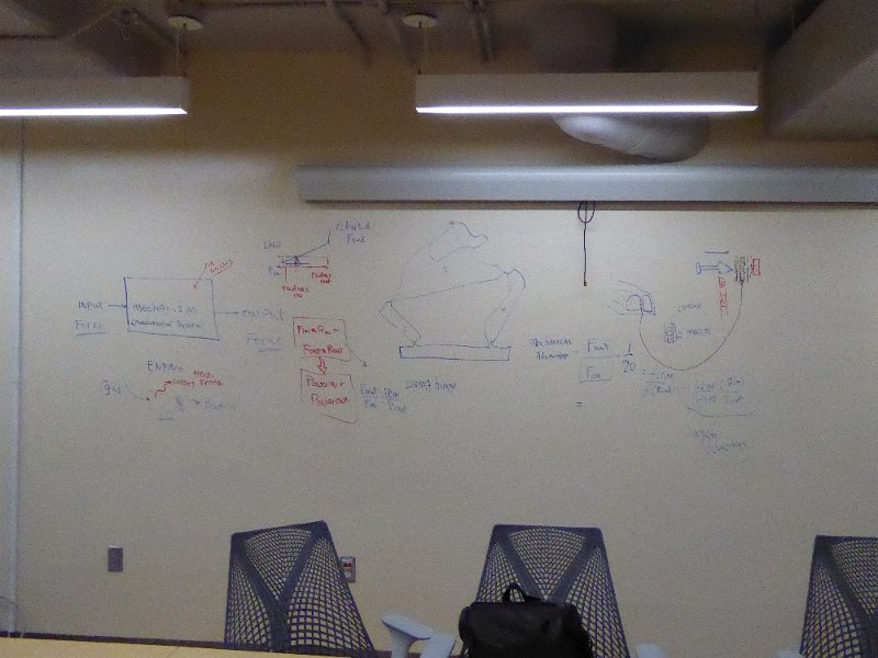 P1010245.JPG