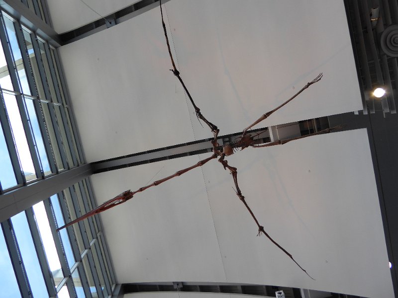P1010377.JPG