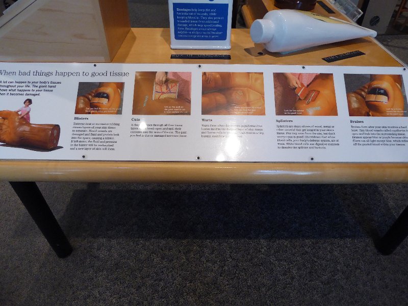 P1010388.JPG