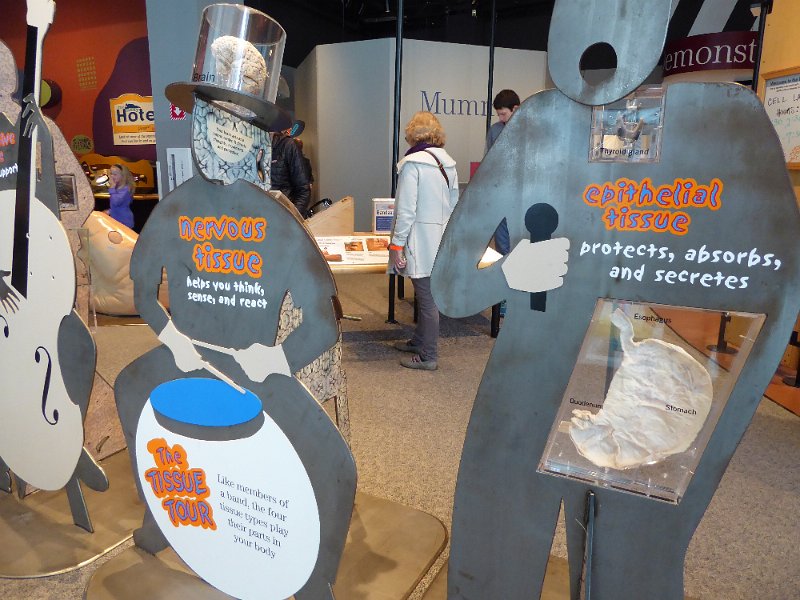 P1010389.JPG