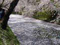 P1030191