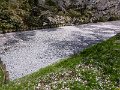 P1030196