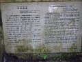 P1030270
