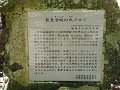 P1030271