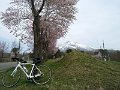 IMG_20200503_110336