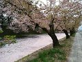 IMG_20200503_115540