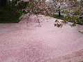 IMG_20200503_120213