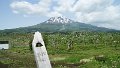 IMG_20200524_103344